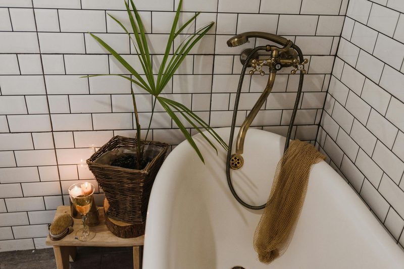 Best Plants for Bathrooms: Thrive in Humidity and Low Light