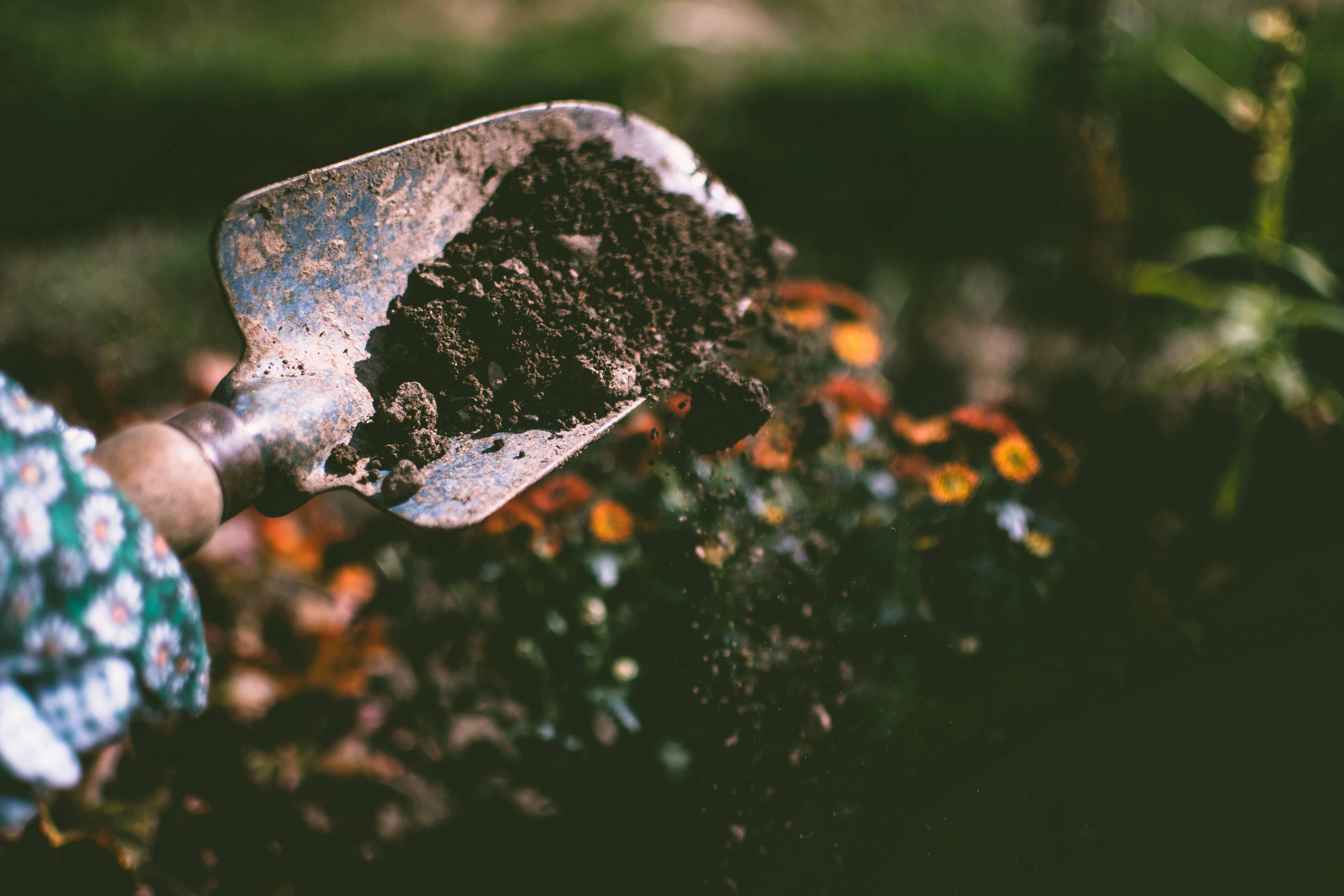 How to Know If Soil Is Too Compact for Plants